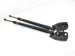 Sold 2016 Toyota 4 Runner Driver & Passenger Tailgate Shock Strut Pair 68908 0W101 Replacement Sold 2016 Toyota 4 Runner Driver & Passenger Tailgate Shock Strut Pair 68908 0W101 Replacement thumbnail