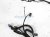 Sold 2017 Honda CR V Instrument Wiring Harness 32117 TLB A60 Replacement Sold 2017 Honda CR V Instrument Wiring Harness 32117 TLB A60 Replacement thumbnail
