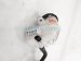 Sold 2023 Honda Accord Brake Master Cylinder 46101 30A A00 Replacement Sold 2023 Honda Accord Brake Master Cylinder 46101 30A A00 Replacement thumbnail