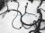 Sold 2017 Toyota Corolla Engine Room Wiring Harness 82115 0ZT70 Replacement Sold 2017 Toyota Corolla Engine Room Wiring Harness 82115 0ZT70 Replacement thumbnail