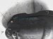 Sold 2017 Acura MDX Gas / Fuel Tank 17044 TG7 A01 Replacement Sold 2017 Acura MDX Gas / Fuel Tank 17044 TG7 A01 Replacement thumbnail