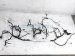 Sold 2019 Toyota Camry Dash Insturment Wiring Harness Se 82145 06A10 Replacement Sold 2019 Toyota Camry Dash Insturment Wiring Harness Se 82145 06A10 Replacement thumbnail