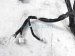 Sold 2019 Toyota Camry Dash Insturment Wiring Harness Se 82145 06A10 Replacement Sold 2019 Toyota Camry Dash Insturment Wiring Harness Se 82145 06A10 Replacement thumbnail