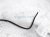 Sold 2019 Toyota Camry Dash Insturment Wiring Harness Se 82145 06A10 Replacement Sold 2019 Toyota Camry Dash Insturment Wiring Harness Se 82145 06A10 Replacement thumbnail