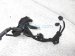Sold 2023 Honda Accord Main Engine Wire Harness 2.0 Hybri 32110 6NH A70 Replacement Sold 2023 Honda Accord Main Engine Wire Harness 2.0 Hybri 32110 6NH A70 Replacement thumbnail