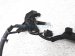 Sold 2023 Honda Accord Main Engine Wire Harness 2.0 Hybri 32110 6NH A70 Replacement Sold 2023 Honda Accord Main Engine Wire Harness 2.0 Hybri 32110 6NH A70 Replacement thumbnail
