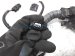 Sold 2023 Honda Accord Main Engine Wire Harness 2.0 Hybri 32110 6NH A70 Replacement Sold 2023 Honda Accord Main Engine Wire Harness 2.0 Hybri 32110 6NH A70 Replacement thumbnail