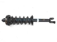 $50 Honda RR/LH STRUT + SPRING $50 Honda RR/LH STRUT + SPRING