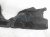 Sold 2021 Chrysler 300 Front Driver Inner Fender Liner 68205933AH Replacement Sold 2021 Chrysler 300 Front Driver Inner Fender Liner 68205933AH Replacement thumbnail