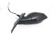 Sold 2019 Honda Civic Rear Passenger Side View Mirror Grey 76208 TBC A03ZA Replacement Sold 2019 Honda Civic Rear Passenger Side View Mirror Grey 76208 TBC A03ZA Replacement thumbnail
