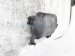 Sold 2020 Acura TLX Rear Driver Exhaust Muffler 2.4l 18305 TZ3 A52 Replacement Sold 2020 Acura TLX Rear Driver Exhaust Muffler 2.4l 18305 TZ3 A52 Replacement thumbnail