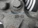 Sold 2022 Ford F150 Front Passenger Spindle Knuckle Hub RL1Z 3K185 A Replacement Sold 2022 Ford F150 Front Passenger Spindle Knuckle Hub RL1Z 3K185 A Replacement thumbnail