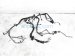Sold 2020 Toyota Tacoma Main Engine Wiring Harness Sr 2.7l 82121 04641 Replacement Sold 2020 Toyota Tacoma Main Engine Wiring Harness Sr 2.7l 82121 04641 Replacement thumbnail