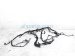 Sold 2020 Toyota Tacoma Main Engine Wiring Harness Sr 2.7l 82121 04641 Replacement Sold 2020 Toyota Tacoma Main Engine Wiring Harness Sr 2.7l 82121 04641 Replacement thumbnail