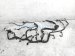 Sold 2020 Toyota Tacoma Main Engine Wiring Harness Sr 2.7l 82121 04641 Replacement Sold 2020 Toyota Tacoma Main Engine Wiring Harness Sr 2.7l 82121 04641 Replacement thumbnail