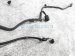 Sold 2020 Toyota Tacoma Main Engine Wiring Harness Sr 2.7l 82121 04641 Replacement Sold 2020 Toyota Tacoma Main Engine Wiring Harness Sr 2.7l 82121 04641 Replacement thumbnail