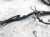 Sold 2020 Toyota Tacoma Main Engine Wiring Harness Sr 2.7l 82121 04641 Replacement Sold 2020 Toyota Tacoma Main Engine Wiring Harness Sr 2.7l 82121 04641 Replacement thumbnail