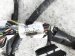 Sold 2020 Toyota Tacoma Main Engine Wiring Harness Sr 2.7l 82121 04641 Replacement Sold 2020 Toyota Tacoma Main Engine Wiring Harness Sr 2.7l 82121 04641 Replacement thumbnail