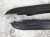 Sold 2019 Toyota Tacoma Driver + Passenger Trim Bed Rails / Moulding 66248 04040 Replacement Sold 2019 Toyota Tacoma Driver + Passenger Trim Bed Rails / Moulding 66248 04040 Replacement thumbnail