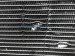 Sold 2021 Honda Pilot Ac Condenser Unit 21k 80100 TG7 A02 Replacement Sold 2021 Honda Pilot Ac Condenser Unit 21k 80100 TG7 A02 Replacement thumbnail