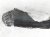Sold 2019 Toyota Prius Front Passenger Inner Fender Liner 53875 47090 Replacement Sold 2019 Toyota Prius Front Passenger Inner Fender Liner 53875 47090 Replacement thumbnail