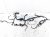 Sold 2021 Nissan Kicks Main Engine Wire Harness 1.6l At 24080 5RB0A Replacement Sold 2021 Nissan Kicks Main Engine Wire Harness 1.6l At 24080 5RB0A Replacement thumbnail