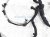 Sold 2021 Nissan Kicks Main Engine Wire Harness 1.6l At 24080 5RB0A Replacement Sold 2021 Nissan Kicks Main Engine Wire Harness 1.6l At 24080 5RB0A Replacement thumbnail