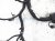 Sold 2021 Nissan Kicks Main Engine Wire Harness 1.6l At 24080 5RB0A Replacement Sold 2021 Nissan Kicks Main Engine Wire Harness 1.6l At 24080 5RB0A Replacement thumbnail