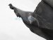 Sold 2019 Toyota Tacoma Cover Windshield Cowl Plastic Panel 55708 04071 Replacement Sold 2019 Toyota Tacoma Cover Windshield Cowl Plastic Panel 55708 04071 Replacement thumbnail