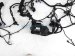 Sold 2024 Honda CR V Engine Room Harness 1.5t Lx Fwd 32200 3A0 A10 Replacement Sold 2024 Honda CR V Engine Room Harness 1.5t Lx Fwd 32200 3A0 A10 Replacement thumbnail