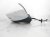 Sold 2020 Honda Odyssey Rear Passenger Side View Mirror White 76200 THR A52ZJ Replacement Sold 2020 Honda Odyssey Rear Passenger Side View Mirror White 76200 THR A52ZJ Replacement thumbnail