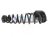 Sold 2020 Honda Odyssey Strut / / Shock Absorber Rear Passenger Spring Coil 52441 THR A11 Replacement Sold 2020 Honda Odyssey Strut / / Shock Absorber Rear Passenger Spring Coil 52441 THR A11 Replacement thumbnail