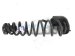 Sold 2020 Honda Odyssey Strut / / Shock Absorber Rear Passenger Spring Coil 52441 THR A11 Replacement Sold 2020 Honda Odyssey Strut / / Shock Absorber Rear Passenger Spring Coil 52441 THR A11 Replacement thumbnail