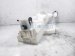 Sold 2022 Kia K5 Windshield Washer Reservoir Tank 98610 L3000 Replacement Sold 2022 Kia K5 Windshield Washer Reservoir Tank 98610 L3000 Replacement thumbnail