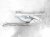 Sold 2022 Kia K5 Driver Side Hood Hinge White 66910 L2000 Replacement Sold 2022 Kia K5 Driver Side Hood Hinge White 66910 L2000 Replacement thumbnail