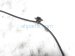 Sold 2022 Nissan Sentra Front Driver Abs Wheel Speed Sensor 47910 6LB0A Replacement Sold 2022 Nissan Sentra Front Driver Abs Wheel Speed Sensor 47910 6LB0A Replacement thumbnail