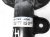Sold 2018 Honda Accord Front Passenger Strut + Spring Hybrid 51611 TVA A03 Replacement Sold 2018 Honda Accord Front Passenger Strut + Spring Hybrid 51611 TVA A03 Replacement thumbnail