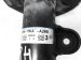 Sold 2018 Honda Accord Front Passenger Strut + Spring Hybrid 51611 TVA A03 Replacement Sold 2018 Honda Accord Front Passenger Strut + Spring Hybrid 51611 TVA A03 Replacement thumbnail