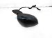 Sold 2025 Honda Civic Rear Passenger Side View Mirror Black 76208 T20 A22 Replacement Sold 2025 Honda Civic Rear Passenger Side View Mirror Black 76208 T20 A22 Replacement thumbnail