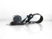 Sold 2020 Toyota Rav 4 Rear 2nd Row Driver Seat Belt Black 73370 0R100 C0 Replacement Sold 2020 Toyota Rav 4 Rear 2nd Row Driver Seat Belt Black 73370 0R100 C0 Replacement thumbnail