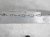 Sold 2018 Honda Accord Beam Front Bumper Reinforcement Bar 71130 TVA A00 Replacement Sold 2018 Honda Accord Beam Front Bumper Reinforcement Bar 71130 TVA A00 Replacement thumbnail