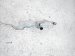 Sold 2019 Honda Civic Ac Hose Line A/c Receiver Pipe 80341 TGH A01 Replacement Sold 2019 Honda Civic Ac Hose Line A/c Receiver Pipe 80341 TGH A01 Replacement thumbnail