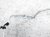 Sold 2019 Honda Accord Ac Hose Line A/c Receiver Pipe Hybrid 80341 TVA A01 Replacement Sold 2019 Honda Accord Ac Hose Line A/c Receiver Pipe Hybrid 80341 TVA A01 Replacement thumbnail