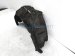 Sold 2015 Honda Accord Rear Driver Inner Fender Liner 74590 T2A A02 Replacement Sold 2015 Honda Accord Rear Driver Inner Fender Liner 74590 T2A A02 Replacement thumbnail