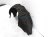 Sold 2015 Honda Accord Rear Driver Inner Fender Liner 74590 T2A A02 Replacement Sold 2015 Honda Accord Rear Driver Inner Fender Liner 74590 T2A A02 Replacement thumbnail