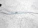 Sold 2015 Honda Accord Hose / / Line Ac Receiver Pipe Lx 2.4l 80341 T2F A01 Replacement Sold 2015 Honda Accord Hose / / Line Ac Receiver Pipe Lx 2.4l 80341 T2F A01 Replacement thumbnail