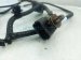 Sold 2023 Acura TLX Front End Wire Harness W/ Sensors 32208 TGZ A00 Replacement Sold 2023 Acura TLX Front End Wire Harness W/ Sensors 32208 TGZ A00 Replacement thumbnail