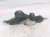 Sold 2015 Toyota Camry Engine/motor Engine Mount Torque Rod + Bracket 12363 0V070 Replacement Sold 2015 Toyota Camry Engine/motor Engine Mount Torque Rod + Bracket 12363 0V070 Replacement thumbnail
