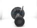 Sold 2021 Nissan Sentra Front Driver Strut + Spring E4303 6LB1B Replacement Sold 2021 Nissan Sentra Front Driver Strut + Spring E4303 6LB1B Replacement thumbnail