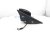 Sold 2020 Acura TLX Rear Driver Side View Mirror Black * 76250 TZ3 A410 Replacement Sold 2020 Acura TLX Rear Driver Side View Mirror Black * 76250 TZ3 A410 Replacement thumbnail